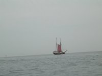 Hanse sail 2010.SANY3366